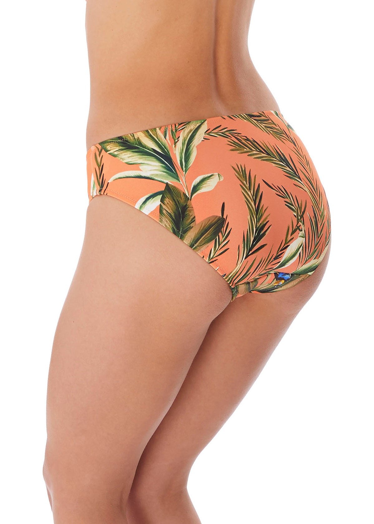 Freya Birds In Paradise Bikini Brief